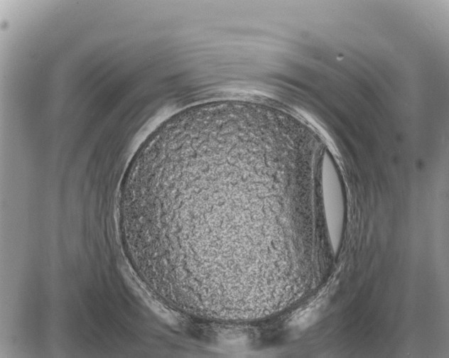 X0000086910899200704231215