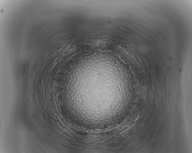 X0000086910913200704231214