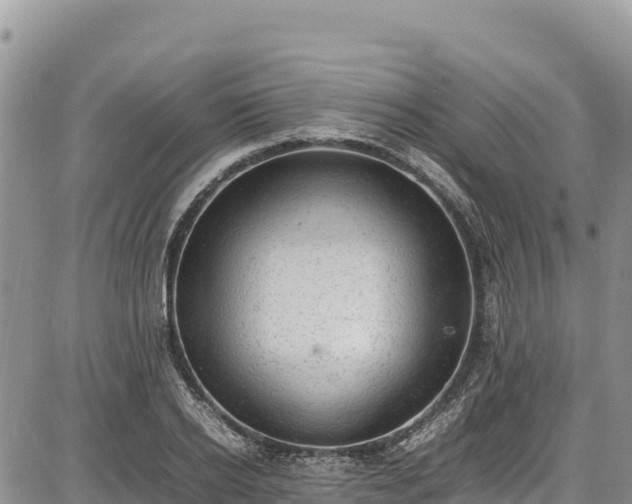 X0000086910934200704231215