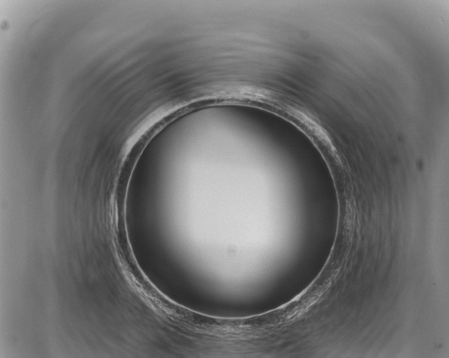 X0000086910936200704231215