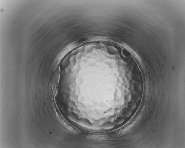 X0000086910953200704231215