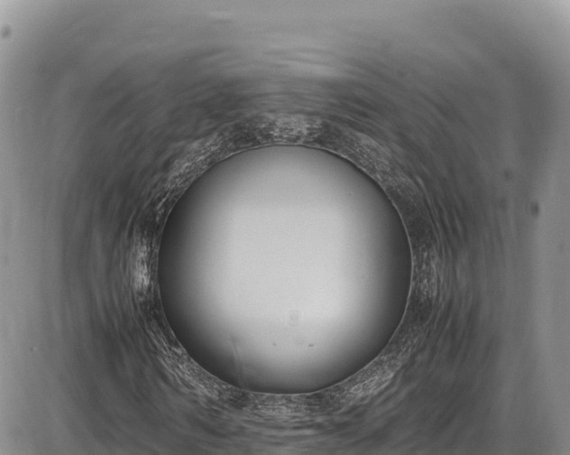 X0000086910962200704231214