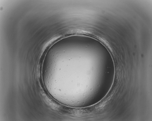 X0000086910987200704231214
