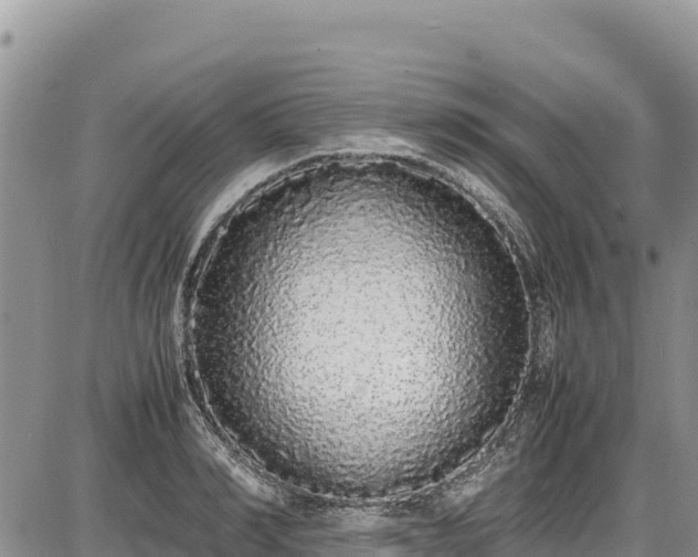 X0000086910990200704231214