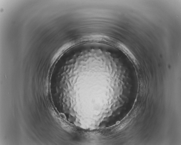 X0000086910994200704231214