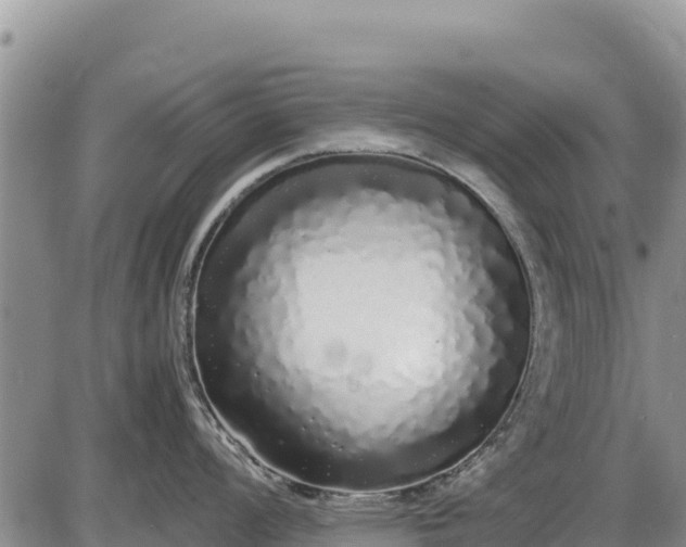 X0000086911008200704231213