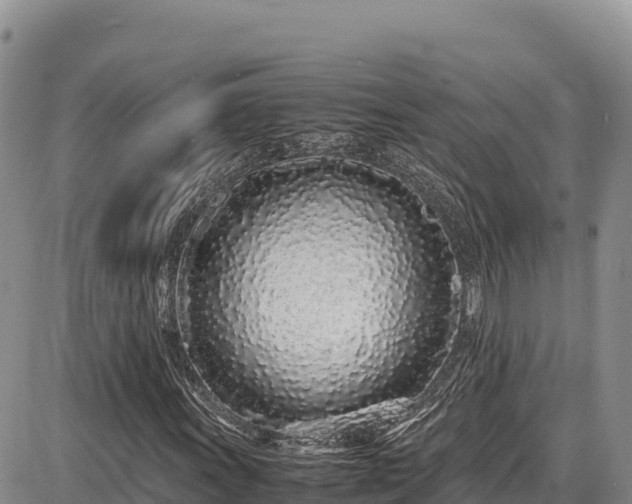 X0000086911011200704231213