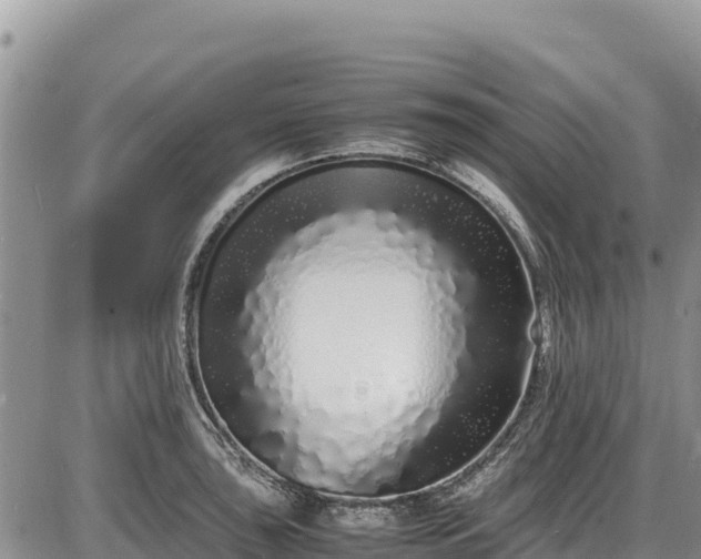 X0000086911043200704231213