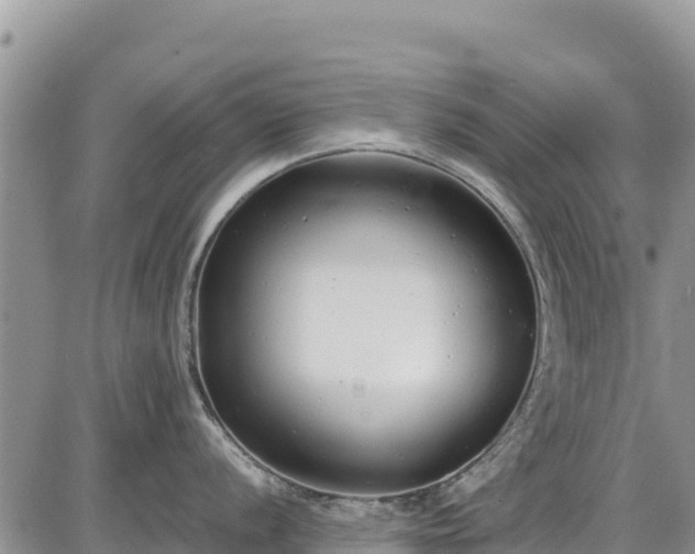 X0000086911056200704231213