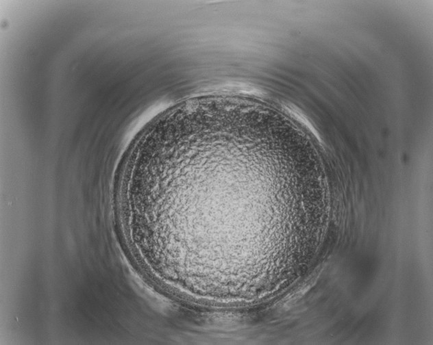 X0000086911087200704231212