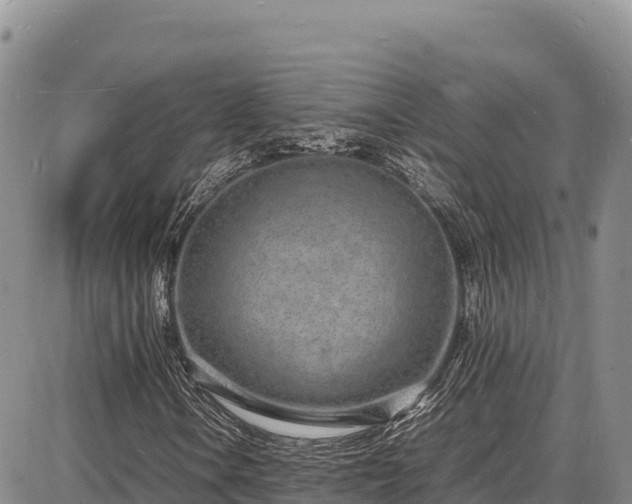 X0000086911106200704231211