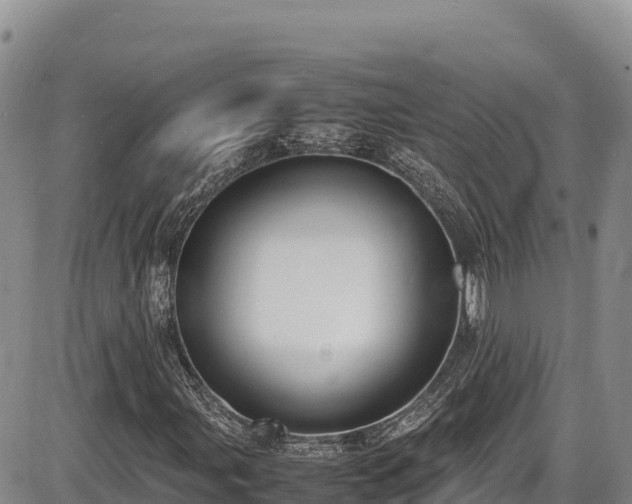 X0000086911107200704231211