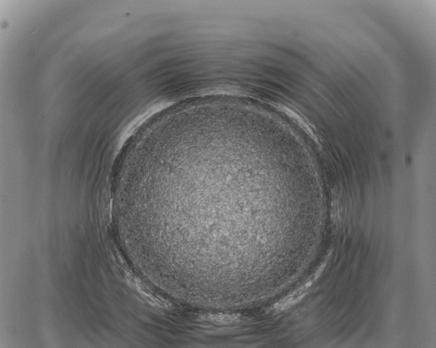 X0000086911117200704231211