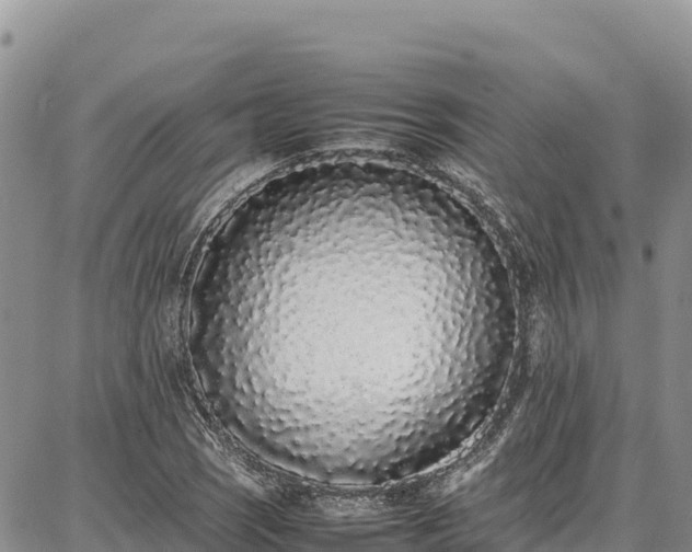 X0000086911121200704231211
