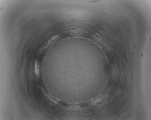 X0000086911154200704231211