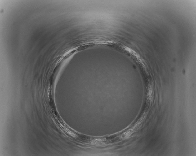 X0000086911161200704231211