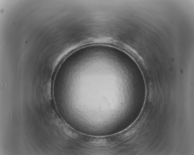 X0000086911174200704231211