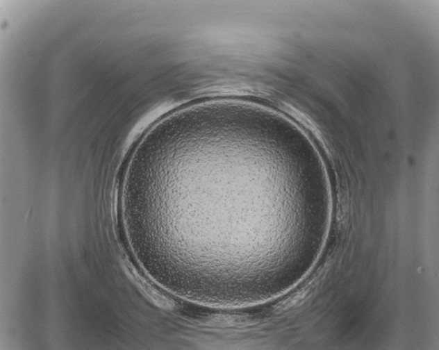 X0000086911179200704231211