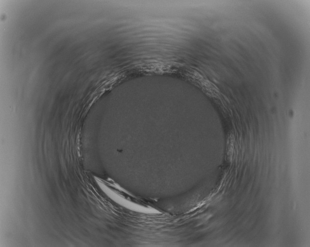 X0000086911202200704231210