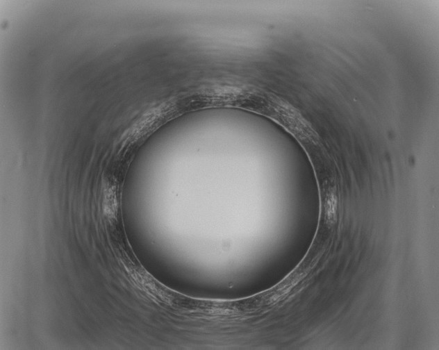 X0000086911204200704231210