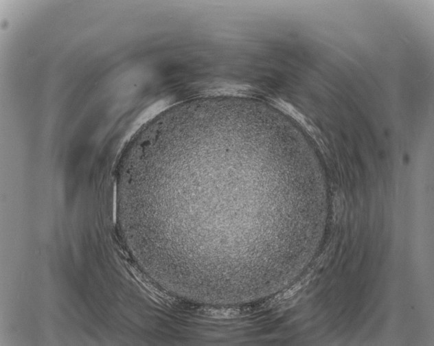 X0000086911219200704231210