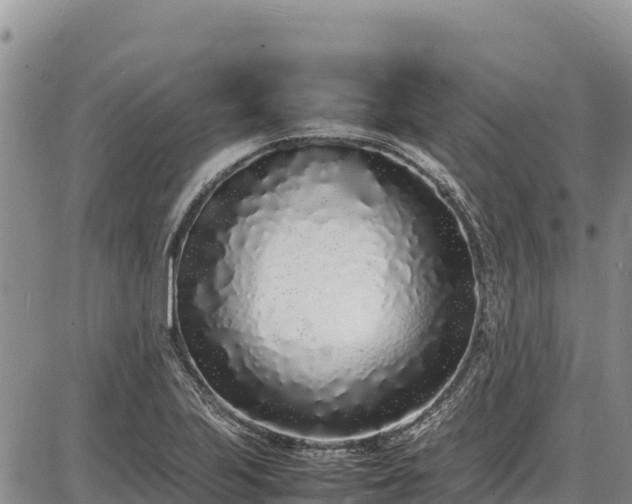 X0000086911223200704231210
