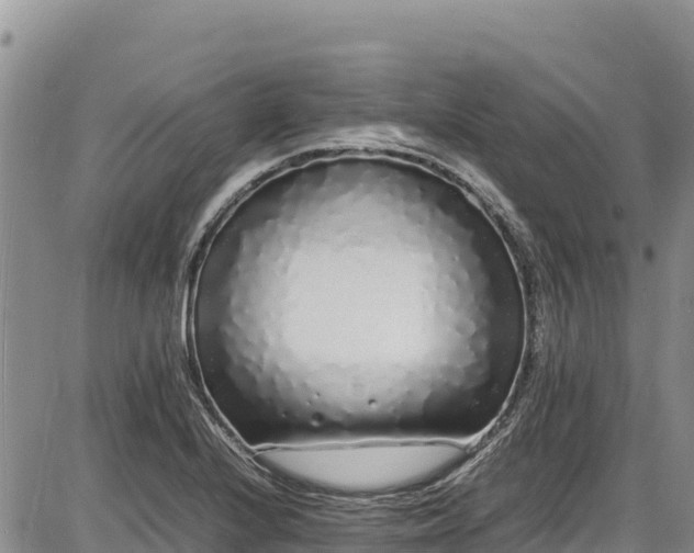 X0000086911224200704231210