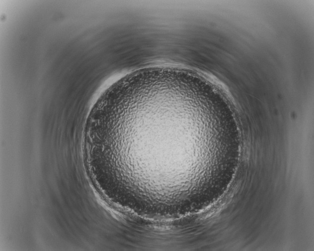 X0000086911231200704231210