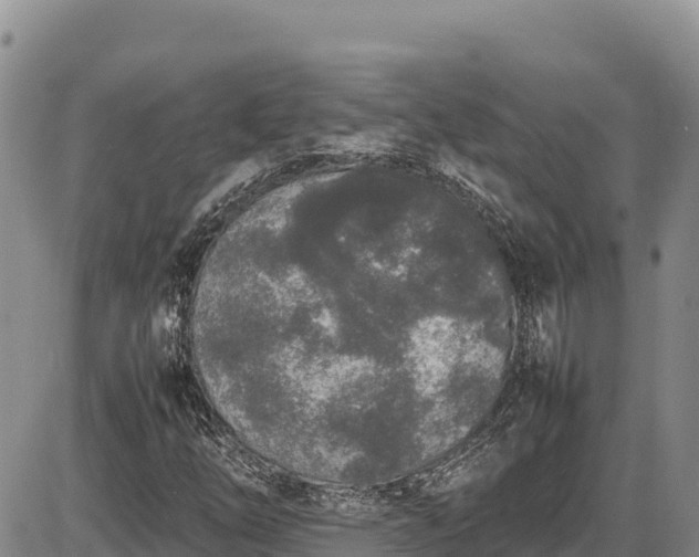 X0000086911254200704231209