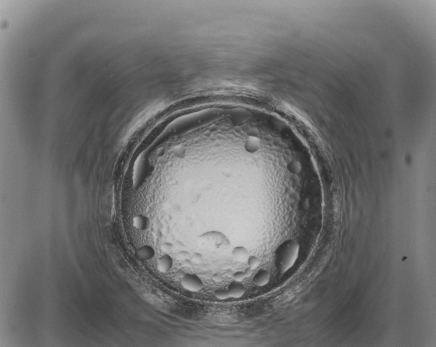X0000086911267200704231209