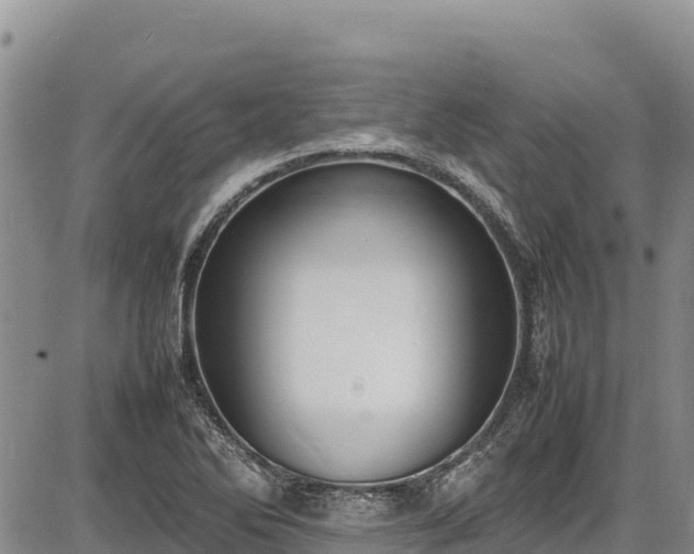 X0000086911270200704231209