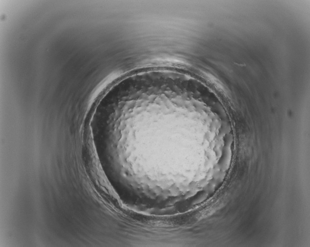 X0000086911275200704231209