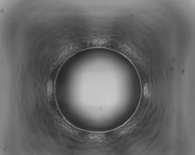 X0000086911299200704231208