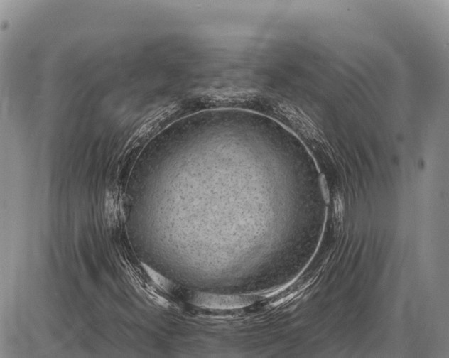 X0000086911300200704231208