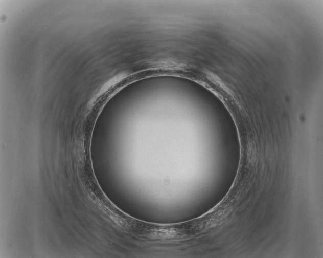 X0000086911315200704231208