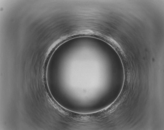 X0000086911326200704231208