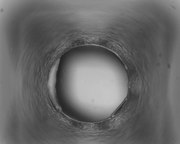 X0000086911345200704231208