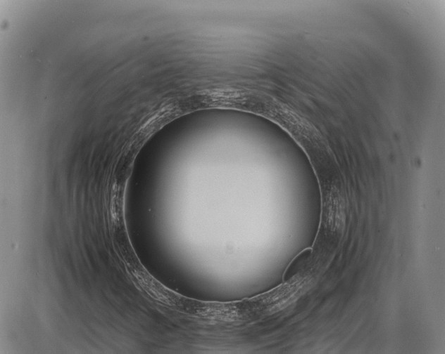 X0000086911346200704231208