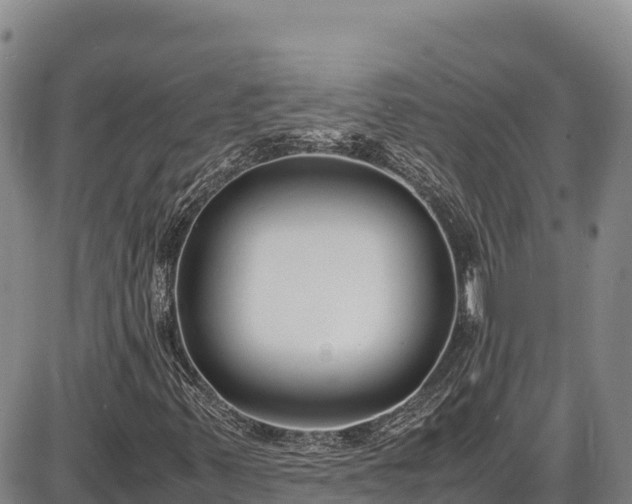 X0000086911347200704231208