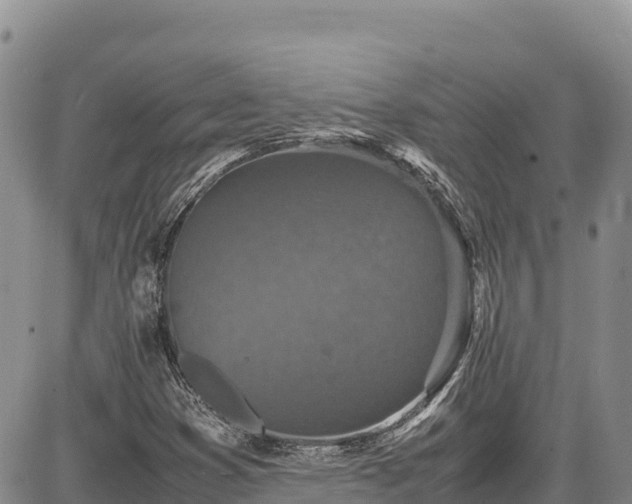 X0000086911353200704231208