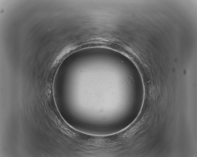 X0000086911355200704231208