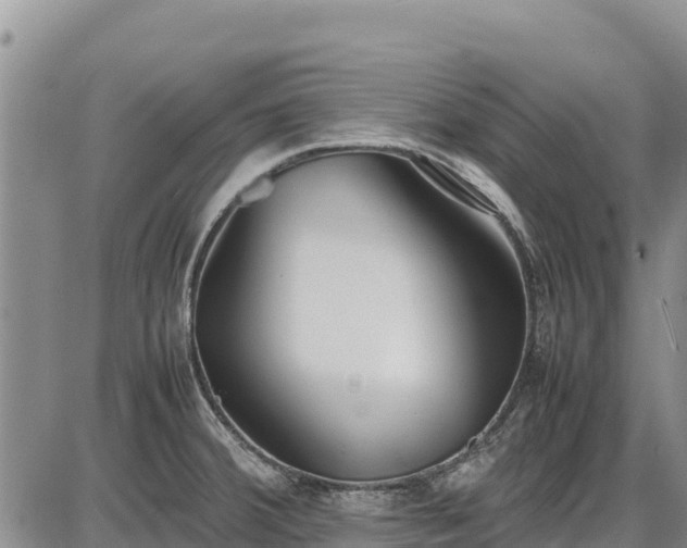 X0000086911380200704231207