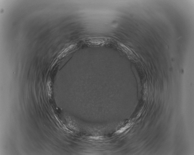 X0000086911394200704231206