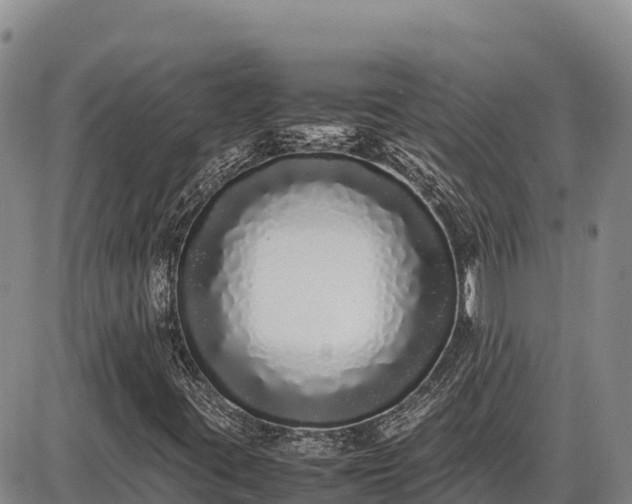 X0000086911395200704231206