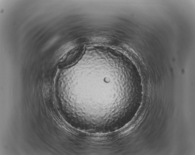X0000086911401200704231206