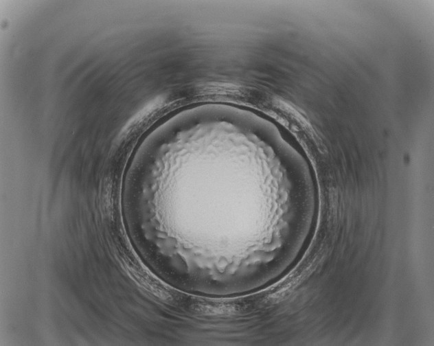 X0000086911403200704231207