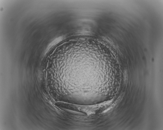 X0000086911405200704231207