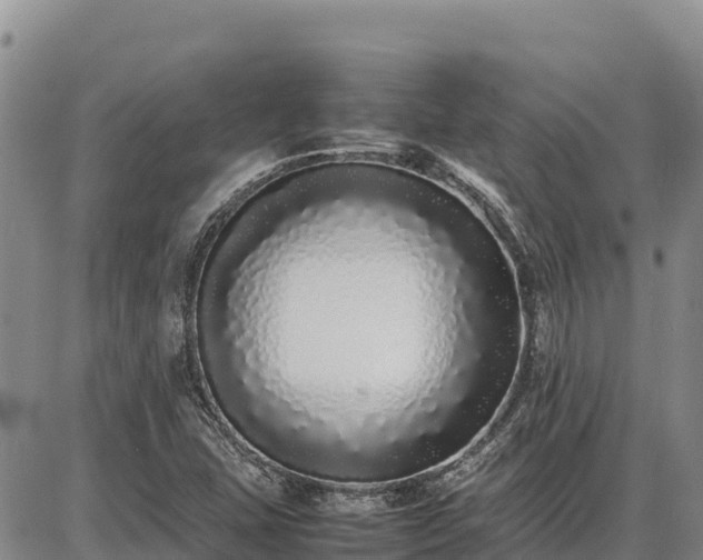 X0000086911407200704231207