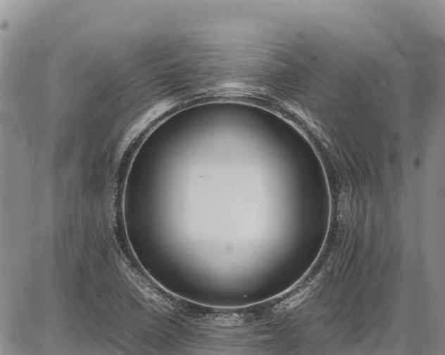 X0000086911410200704231207