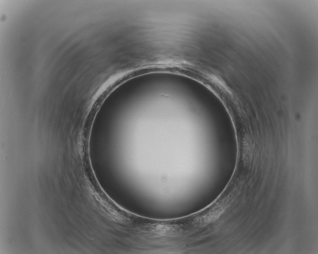 X0000086911412200704231207